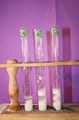 gal/LES_CINQUIEMES/ACTIVITE DIGESTION IN VITRO/Groupe_05/Groupe05_T_00h50min/_thb_Groupe05_T_00h_50min_8.JPG